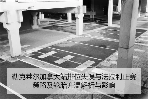 lei-ke-lai-er-jia-na-da-zhan-pai-wei-shi-wu-yu-fa-la-li-zheng-sai-ce-lve-ji-lun-tai-sheng-wen-jie-xi-yu-ying-xiang-2-276.jpg