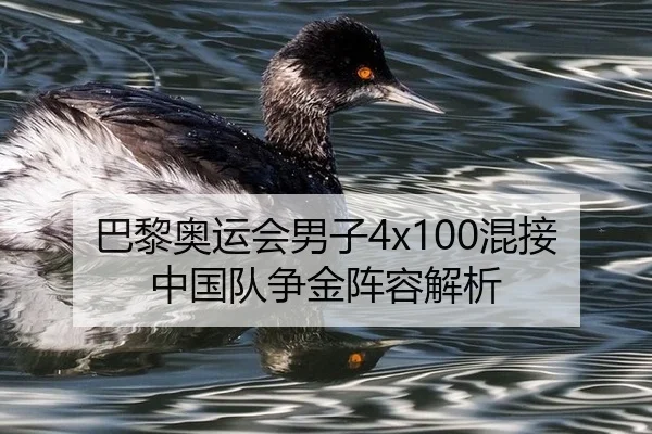 巴黎奥运会男子4x100混接中国队争金阵容解析
